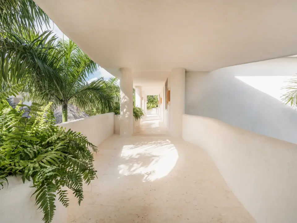 Arrecife SB4, imagen 7