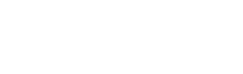 ALETA