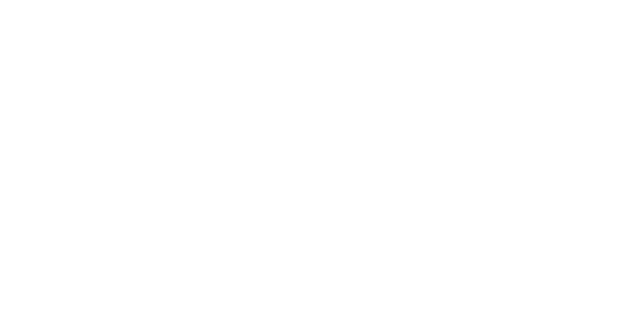 Copa Airlines