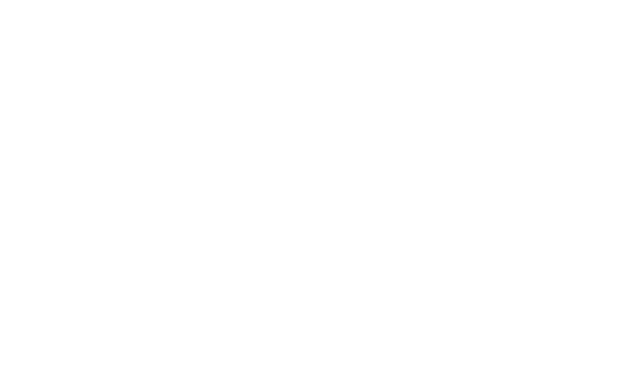 Puntacana International School