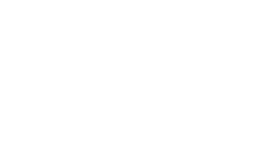 W Hotels
