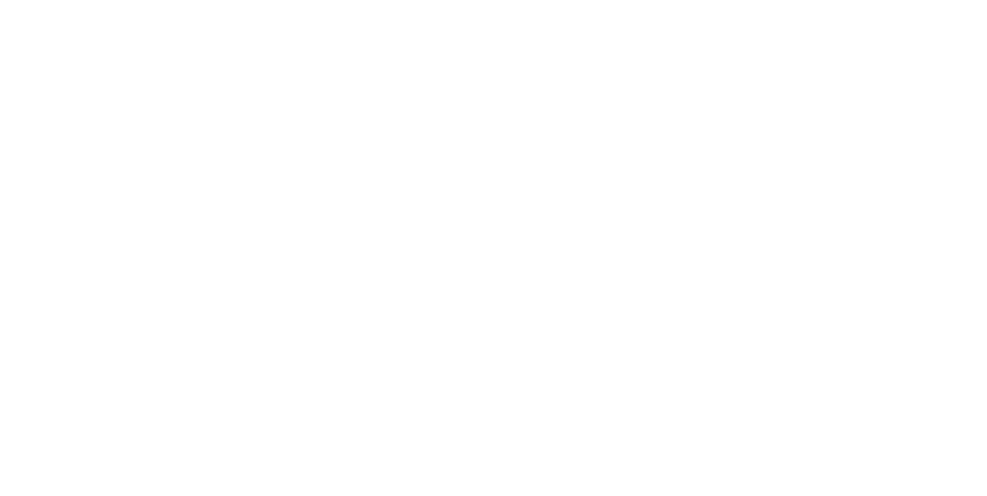 Zemí Miches